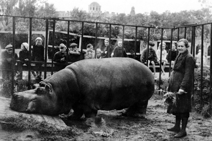  Фото из архива Ленинградского зоопарка